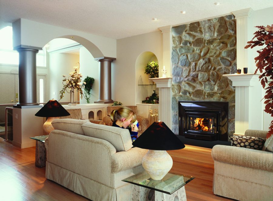 Wood fireplace insert in a living room with furniture and some modern decoratons