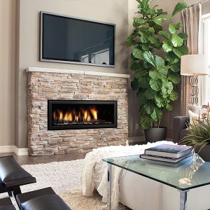 Stone gas fireplace insert in a beautiful living room with a large plant next to the fireplace and some modern furniture