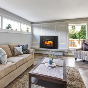 Wood fireplace insert in a cozy living room with comfortable looking furniture