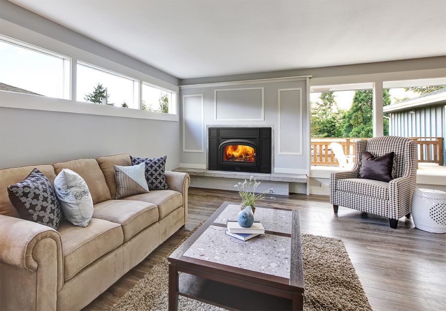 Wood fireplace insert in a cozy living room with comfortable looking furniture