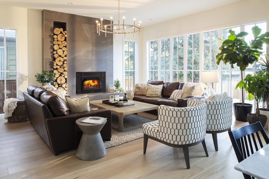 Wood fireplace insert in a well lit living room with comfortable furniture and some plants