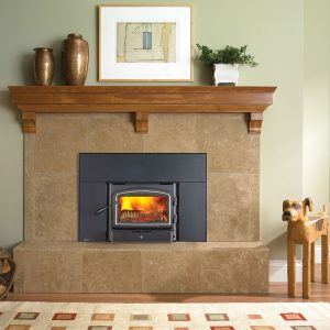 Wood Fireplace insert with a stone surround and a mantle with some pots and plants