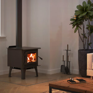 Small Wood stove in a dimly lit living room with a plant, window and a couch